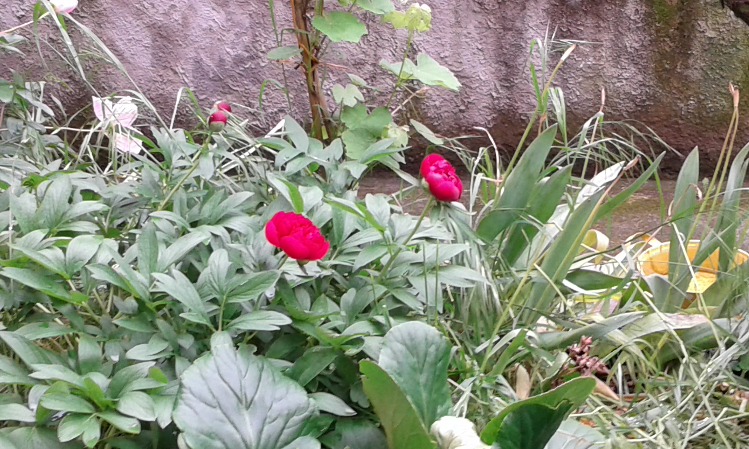 20150504_165428.jpg