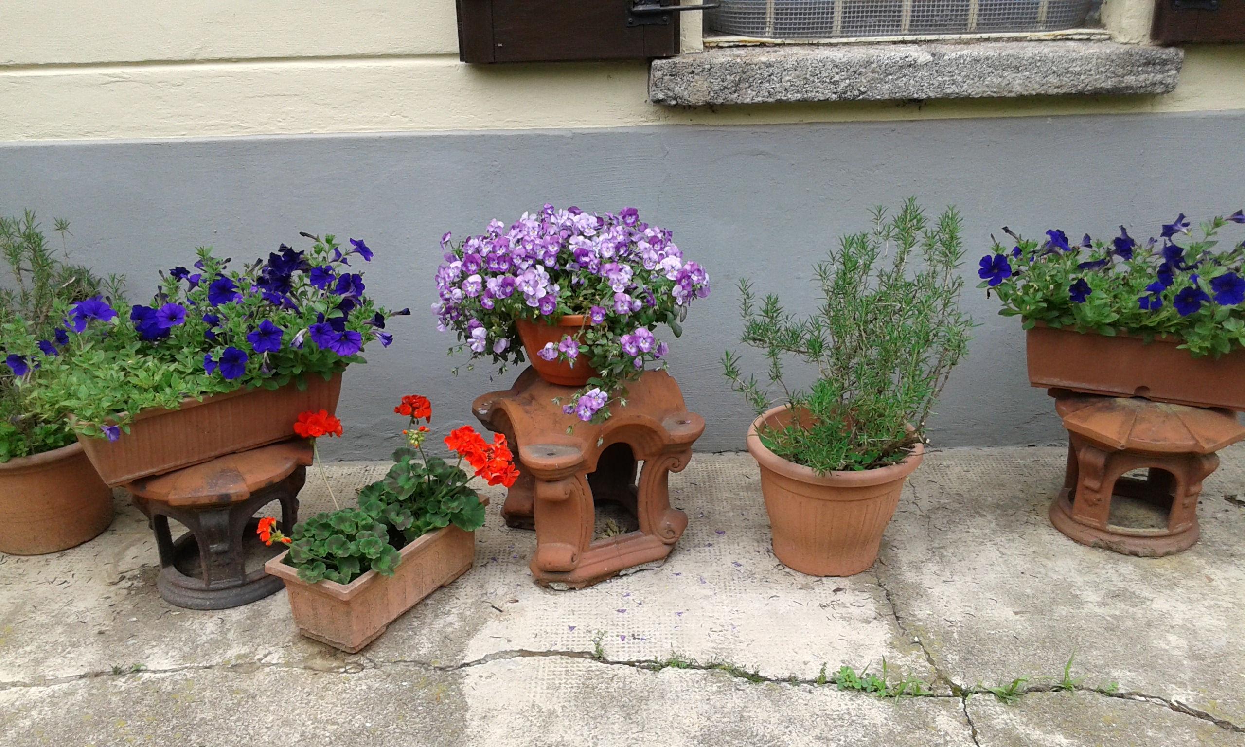 20150504_165624.jpg
