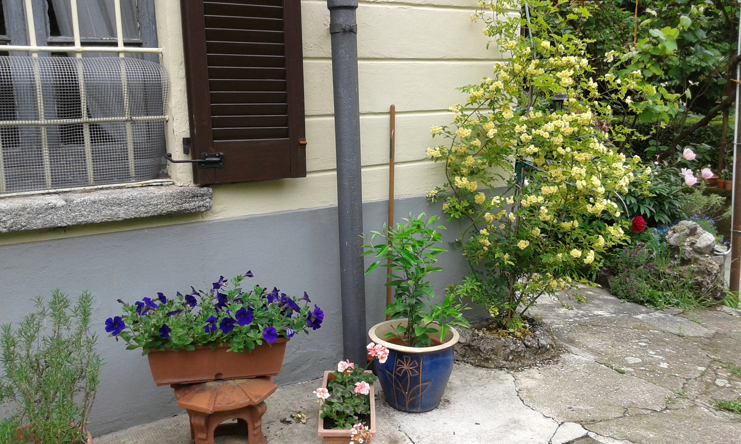 20150504_165633.jpg