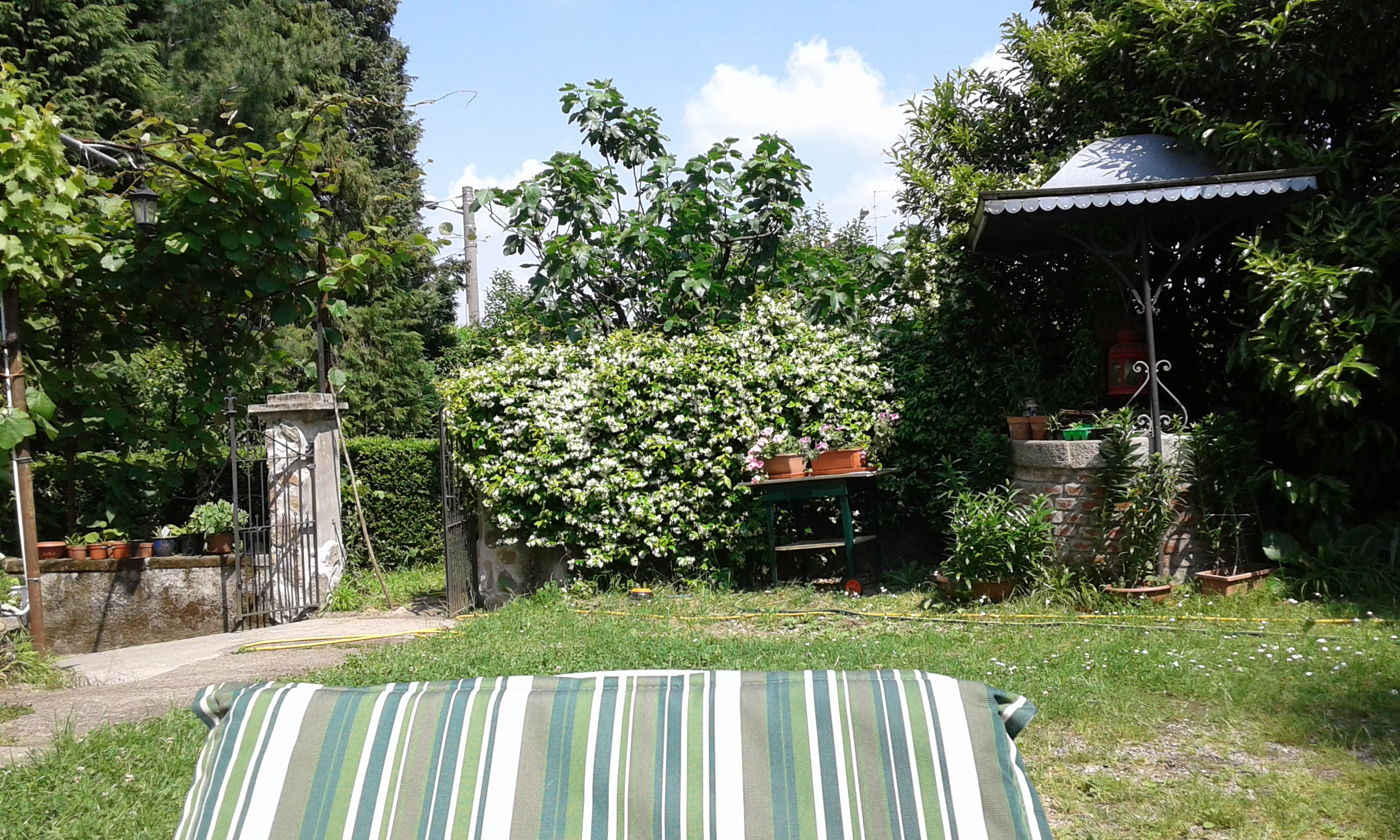20150530_151142.jpg