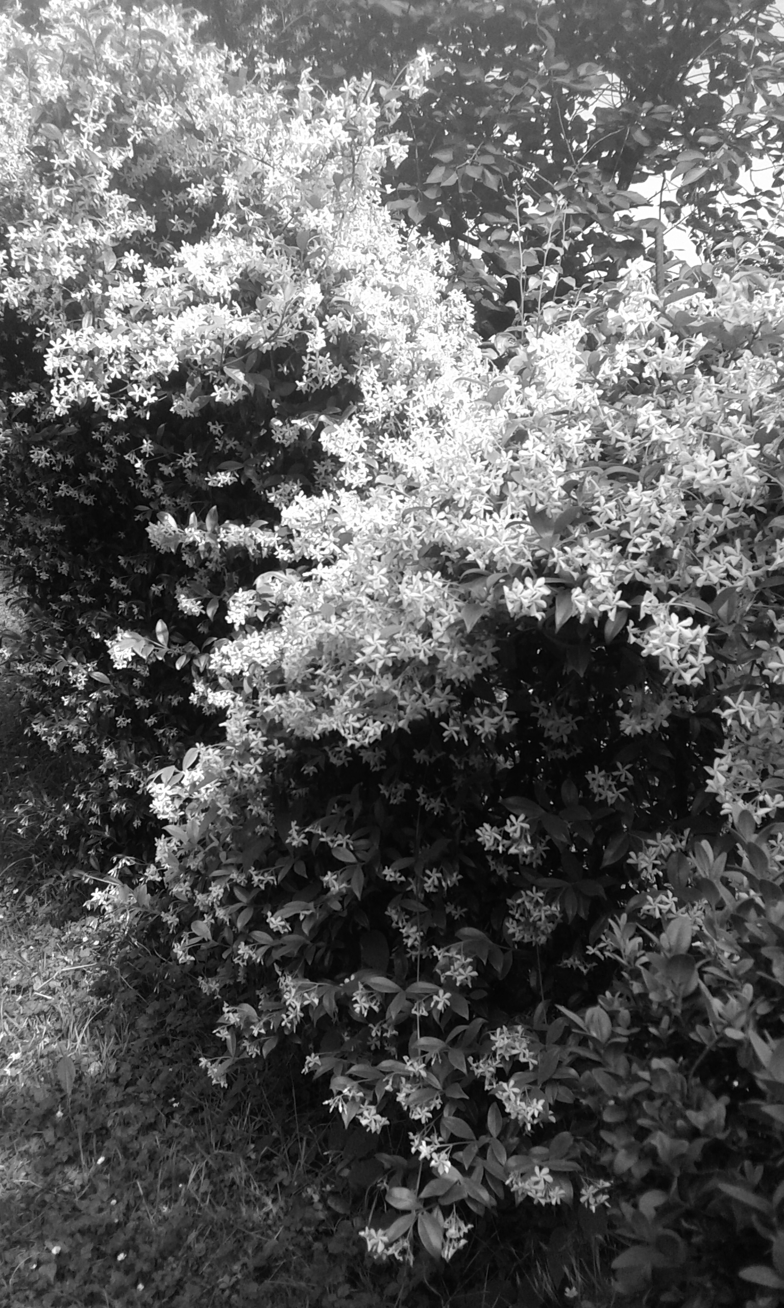 20150604_171147.jpg