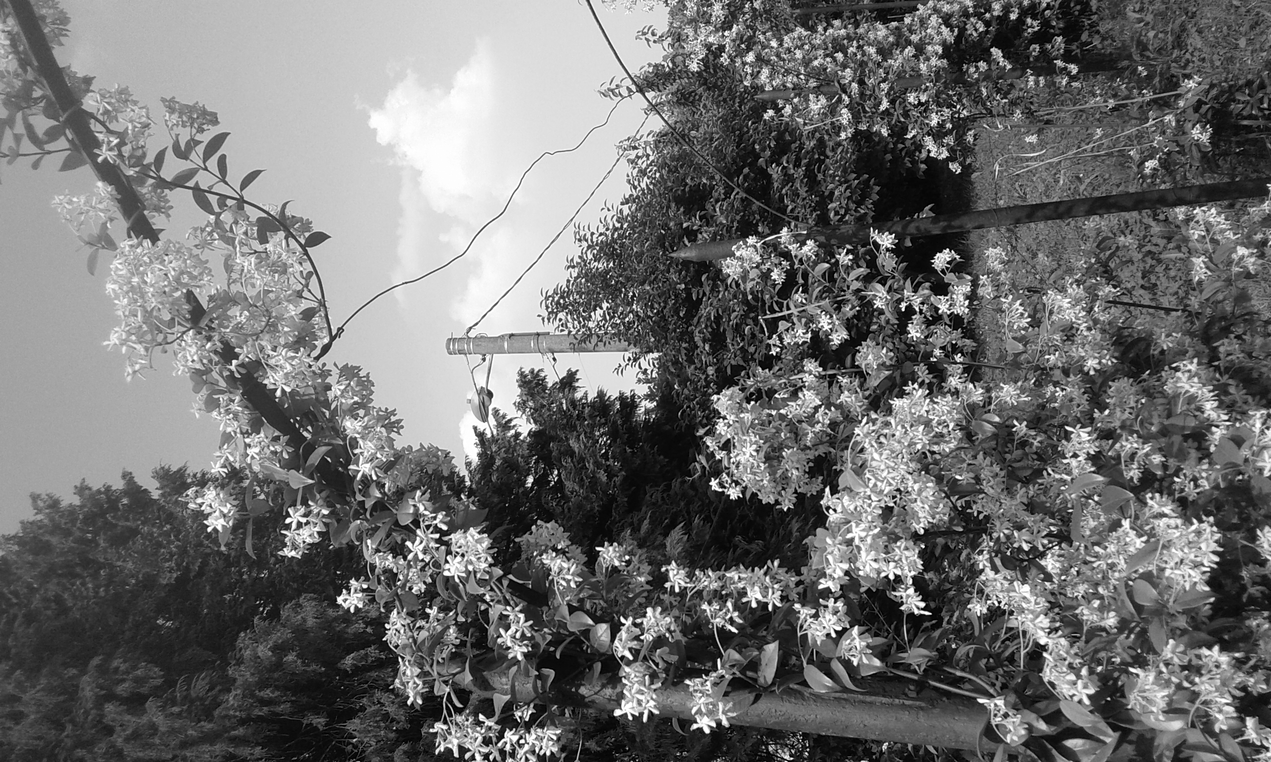 20150604_171228.jpg