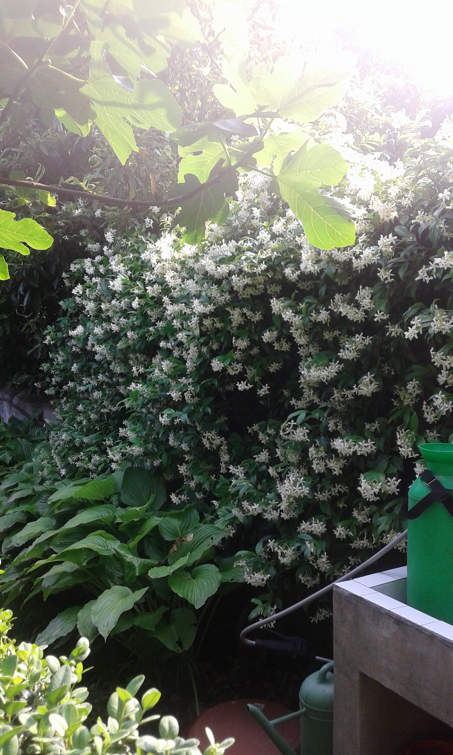 20150604_171339.jpg