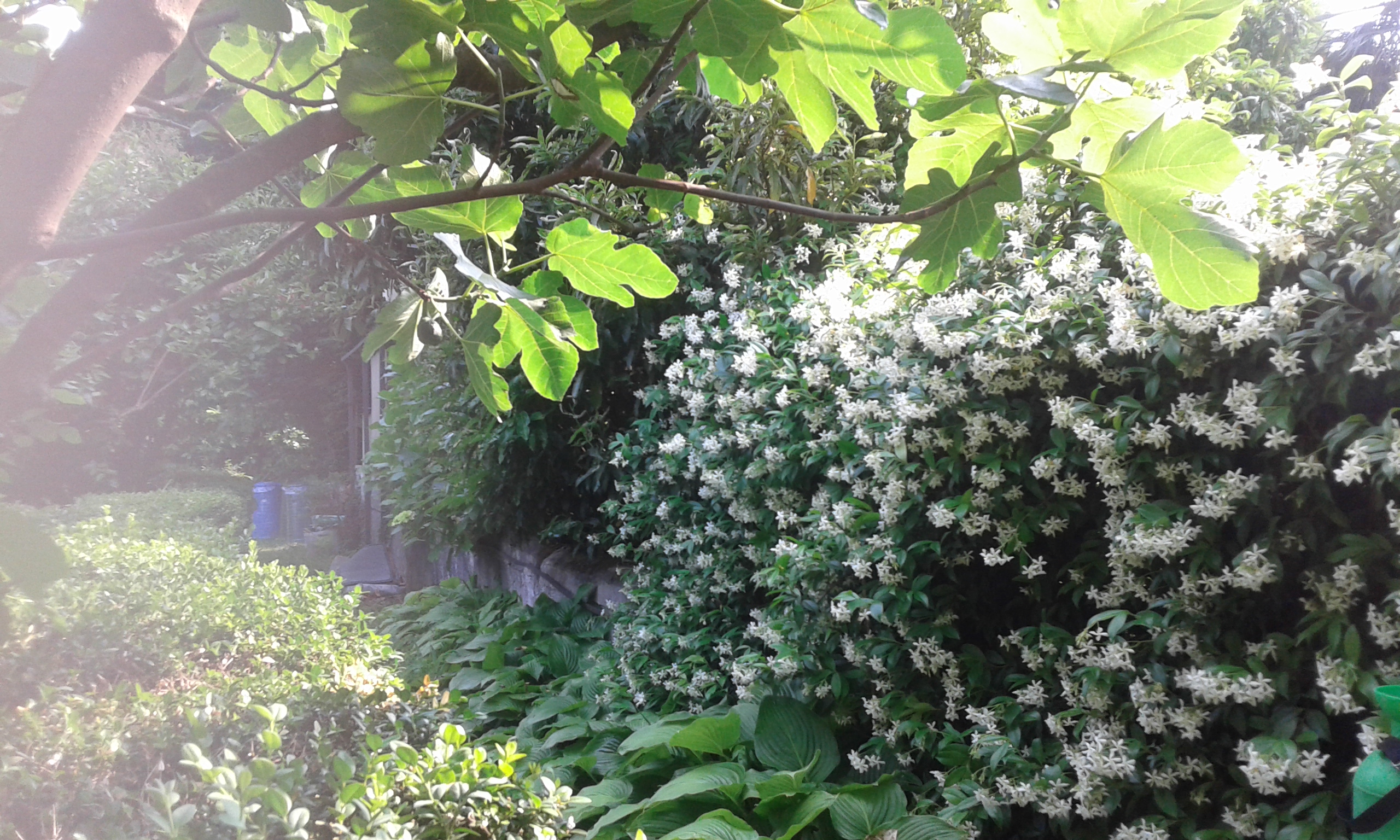 20150604_171351.jpg