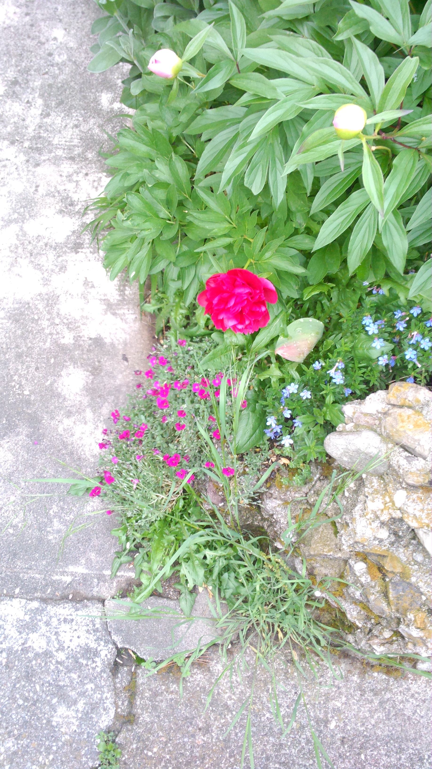 PIC000135.jpg