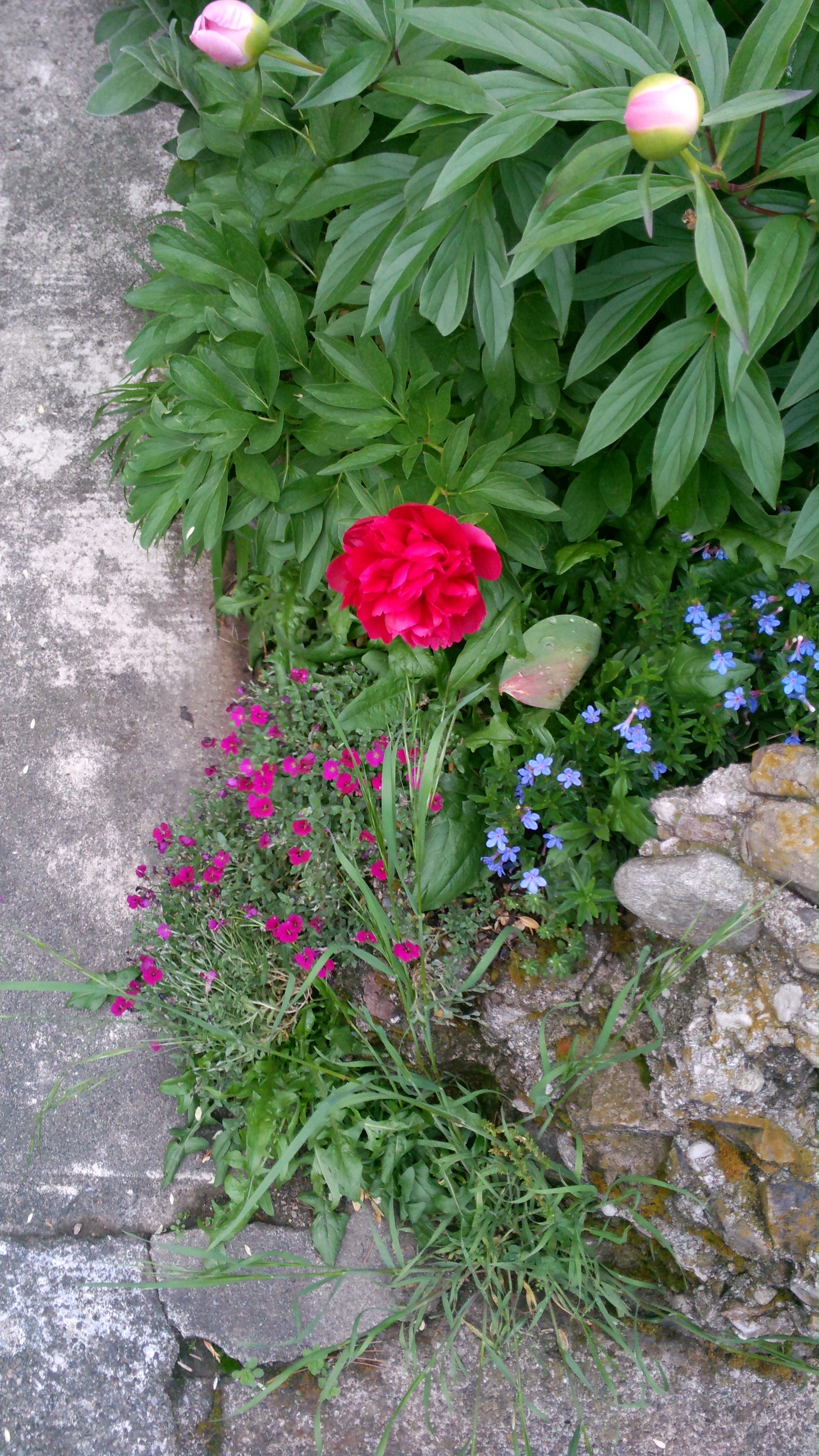 PIC000136.jpg